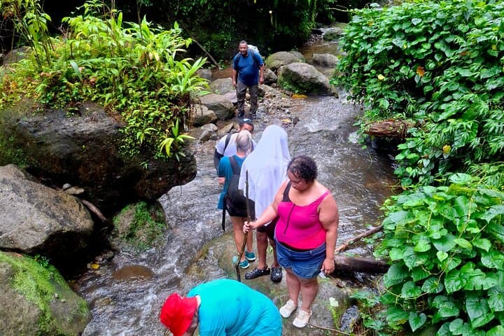 Au Coin and Concord Falls Hike — Grenada Rainforest Waterfall Tour photo 6