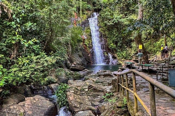 Maya King Waterfalls Swim from Hopkins Village — Easy Jungle Waterfall Tour photo 2