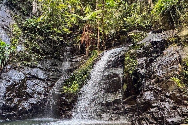Maya King Waterfalls Swim from Hopkins Village — Easy Jungle Waterfall Tour photo 3