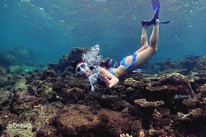 Phu Quoc Small-Group Snorkeling & Sunset BBQ — Island Hopping with Local Guides photo 3
