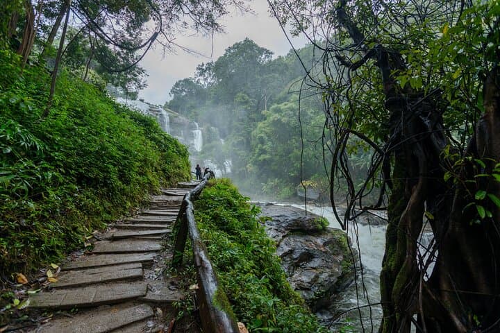 Doi Inthanon Summit & Royal Pagodas: Day Tour from Chiang Mai photo 6