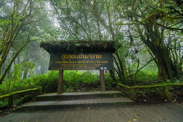 Doi Inthanon Summit & Royal Pagodas: Day Tour from Chiang Mai photo 3