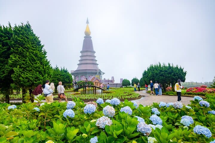Doi Inthanon Summit & Royal Pagodas: Day Tour from Chiang Mai