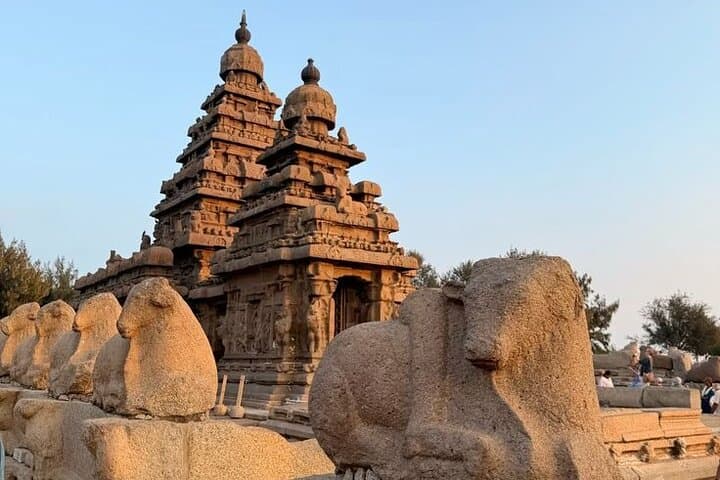 7-Day Private Chennai to Cochin: Temples, Backwaters & Wildlife photo 2
