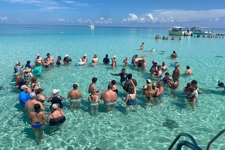 Stingray City to Starfish Point: Grand Cayman's Signature Snorkel Circuit photo 2
