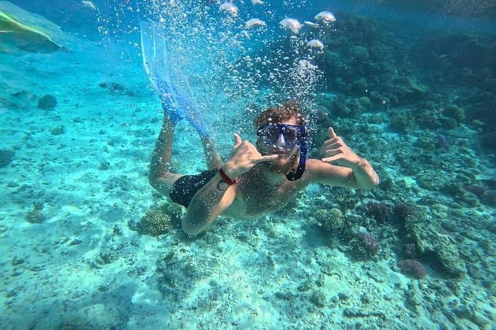Sataya Dolphin House Snorkel — Full-Day Red Sea Cruise from Marsa Alam photo 4