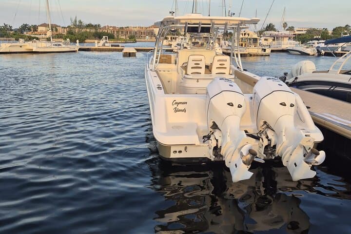 Half-Day Stingray City & Coral Gardens Snorkel in Grand Cayman photo 2