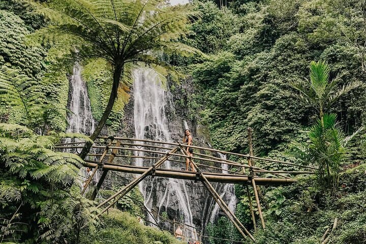 Celukan Bawang Shore Excursion: Ulun Danu, Twin Lakes & Banyumala Waterfall (5–6 hr) photo 3