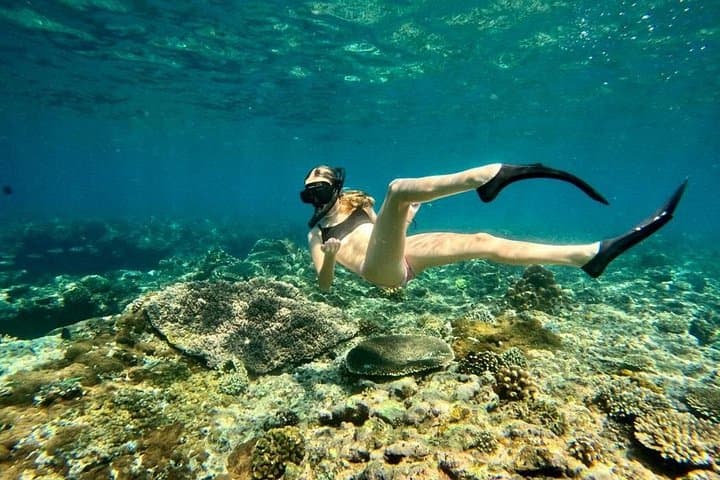 Blue Lagoon Snorkeling Padangbai: Calm Coral Reefs, Guided Snorkel & Hotel Transfer photo 1