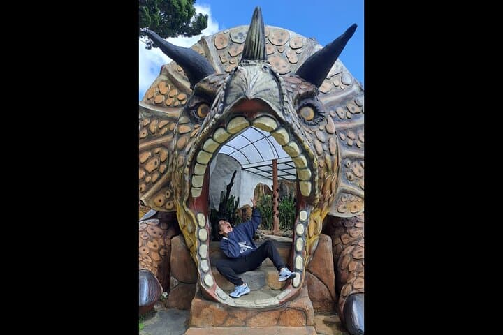 North Bali Full-Day Private Guided Tour: Bedugul, Rice Terraces & Monkey Forest photo 4