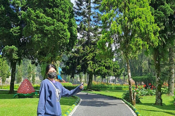 North Bali Full-Day Private Guided Tour: Bedugul, Rice Terraces & Monkey Forest photo 5