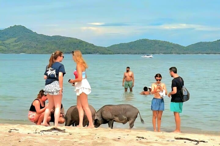 Koh Samui Pig Island & Koh Tan Longtail Snorkel Trip