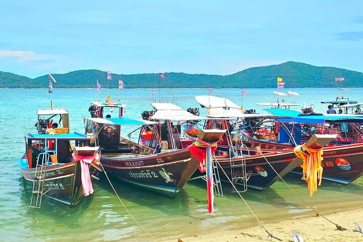 Koh Samui Pig Island & Koh Tan Longtail Snorkel Trip photo 4