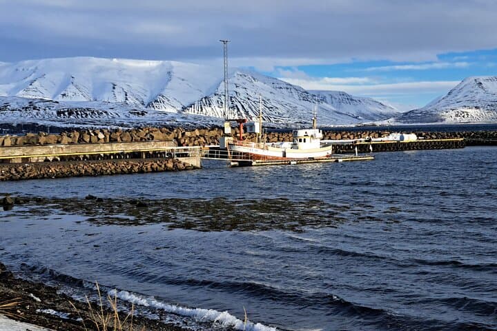 Knit Your Way Through North Iceland: Godafoss, Whale Watching & Forest Lagoon photo 2