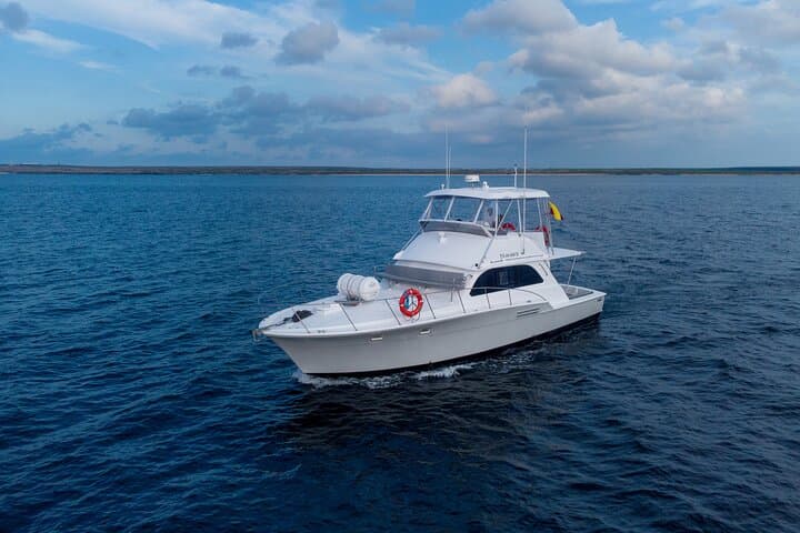 Day Cruise & Snorkel: Galapagos Daily Tour Aboard M/Y Galaxy photo 4