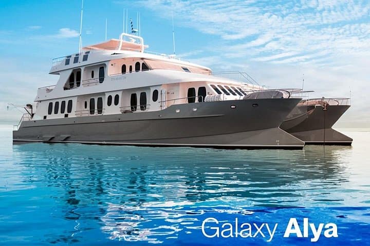 Luxury Galapagos Cruise Aboard the Galaxy Alya — 5–6 Day Catamaran Itineraries photo 1
