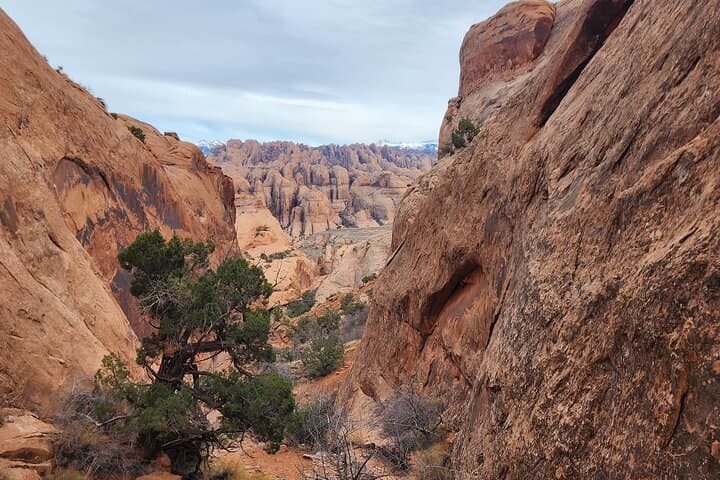 Bow and Arrow Canyon: Short Hike with Four Rappels Near Moab