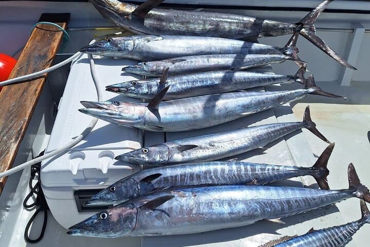 Offshore Big-Game Fishing in St Kitts and Nevis — 4-Hour Deep-Sea Charter photo 4