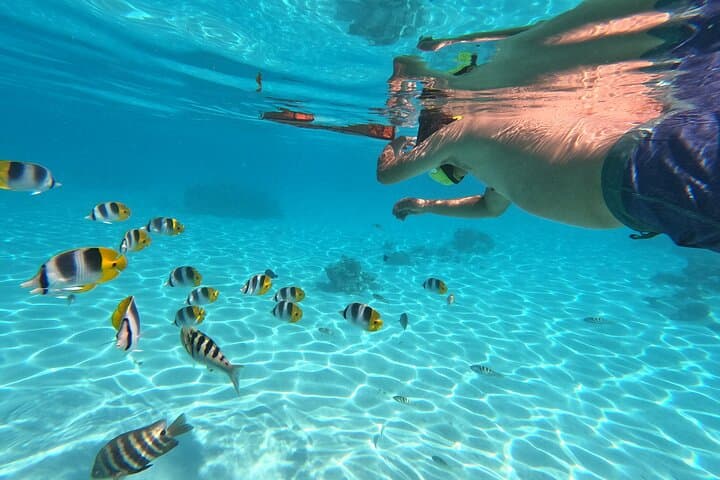 Polynesian Outrigger Sunset Cruise in Moorea — Snorkel Sharks & Rays photo 6