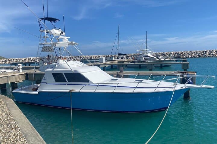 Private Deep-Sea Fishing Charter from Puerto Plata — Marlin, Tuna & Mahi-Mahi photo 2