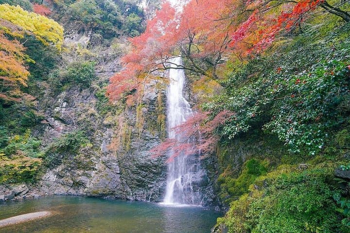 Osaka Early Bird Trail: Katsuo-ji Temple & Minoh Falls Morning Hike photo 3
