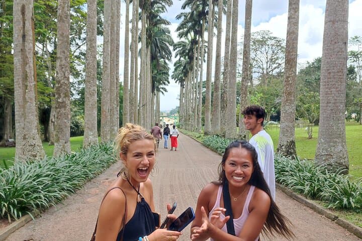 Aburi Day Trip from Accra: Botanical Gardens, Historic Cocoa Farm & Oboadaka Waterfall