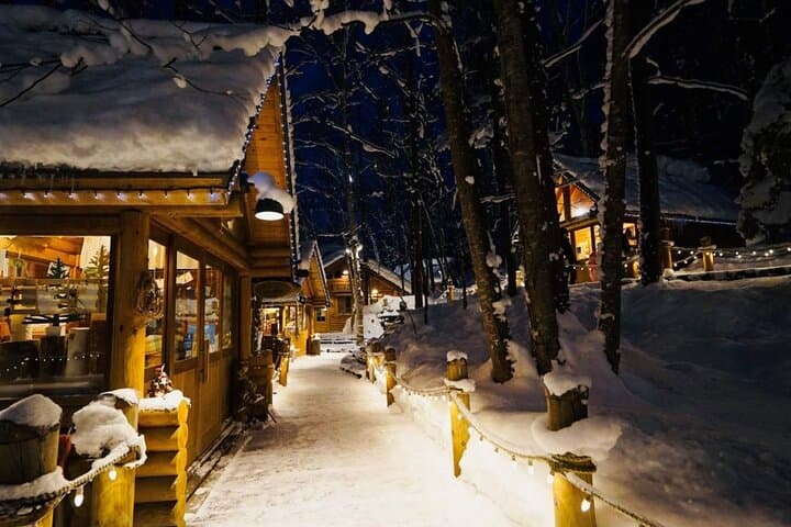 Hokkaido Day Trip: Asahiyama Zoo, Biei Christmas Tree & Shirogane Blue Pond