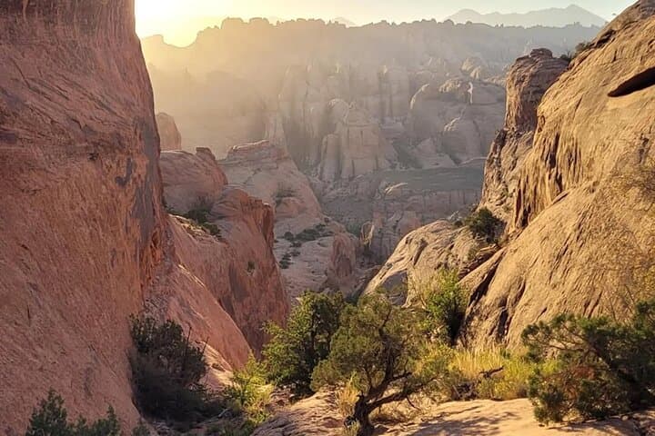 Bow and Arrow Canyon: Short Hike with Four Rappels Near Moab photo 6