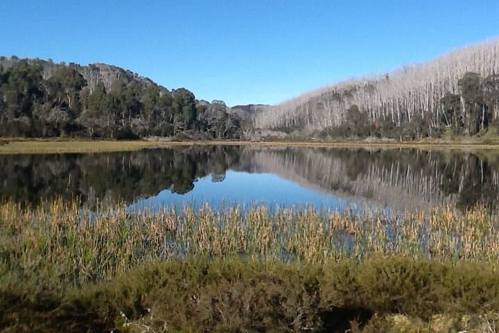 Hike Mount Buffalo: Waterfalls, Granite Cliffs & Alpine Views