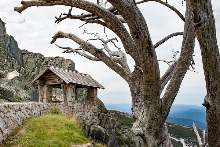 Hike Mount Buffalo: Waterfalls, Granite Cliffs & Alpine Views photo 3
