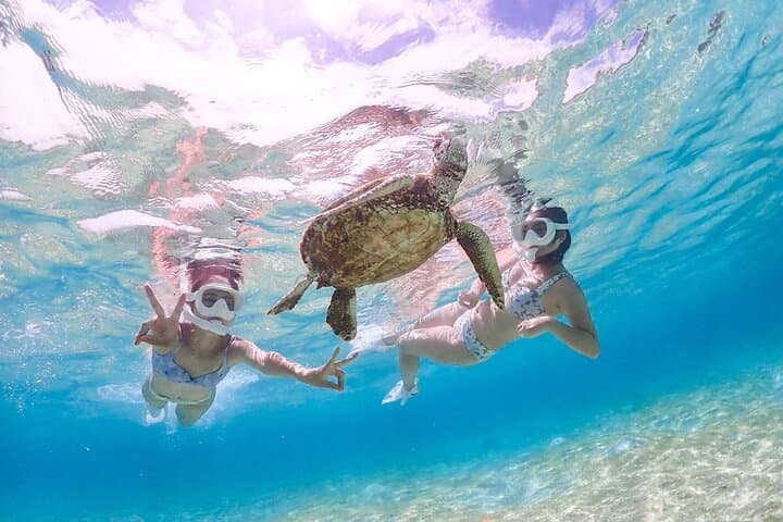 Miyakojima Private VIP Snorkel: Nemo, Sea Turtles & Drone Photos