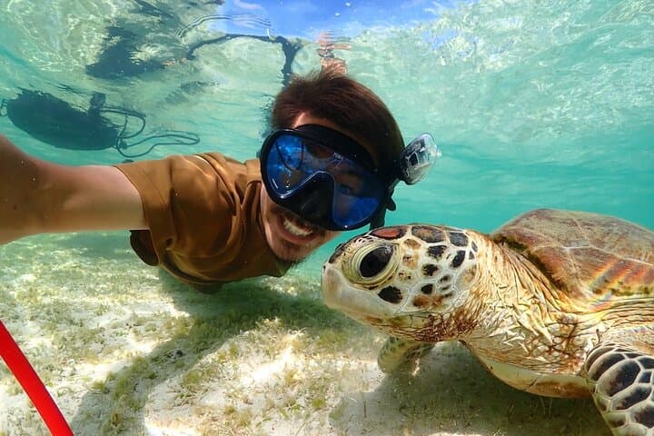 Miyakojima Private VIP Snorkel: Nemo, Sea Turtles & Drone Photos photo 5