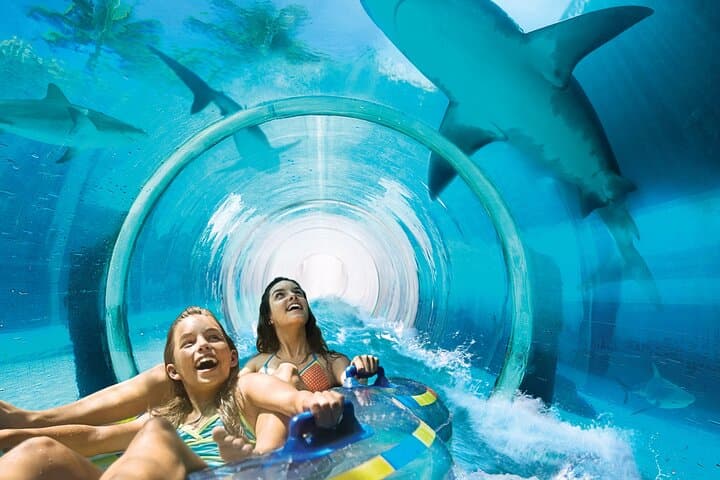 Atlantis Aquaventure Water Park — Palm Jumeirah Tickets & Insider Guide photo 3