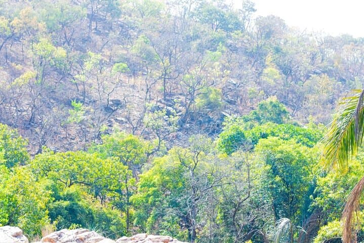 Natitingou Waterfalls, Tata Somba Villages & Wildlife Sanctuary Tour photo 3