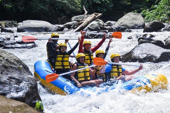 Ubud Ayung River White Water Rafting with Lunch — Beginner-Friendly Rapids in Bali photo 6