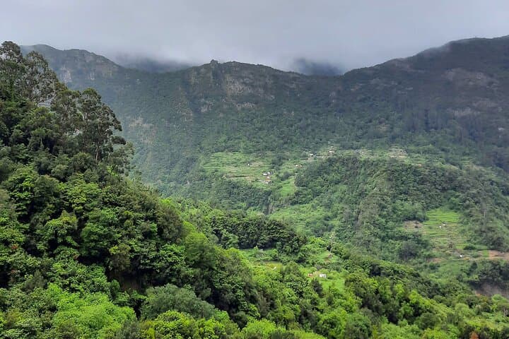 Levada dos Tornos Hiking Adventure: Full-Day Guided Levada Walk in Madeira photo 5