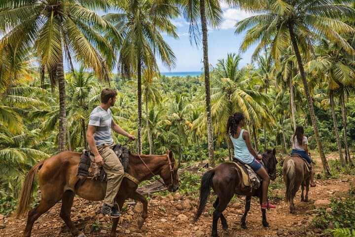 Samana Whale Watching, El Limón Waterfall & Cayo Levantado Day Tour photo 4