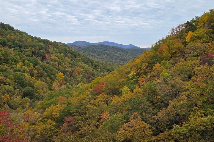 Catawba Falls Half-Day Hike: Waterfalls and Blue Ridge Views from Asheville photo 2