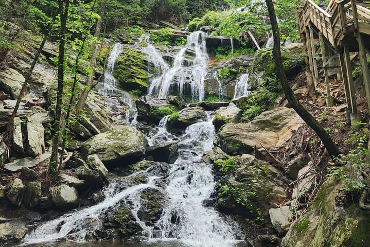 Catawba Falls Half-Day Hike: Waterfalls and Blue Ridge Views from Asheville photo 4