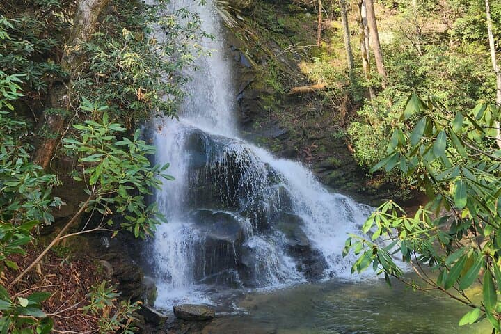 Catawba Falls Half-Day Hike: Waterfalls and Blue Ridge Views from Asheville photo 5