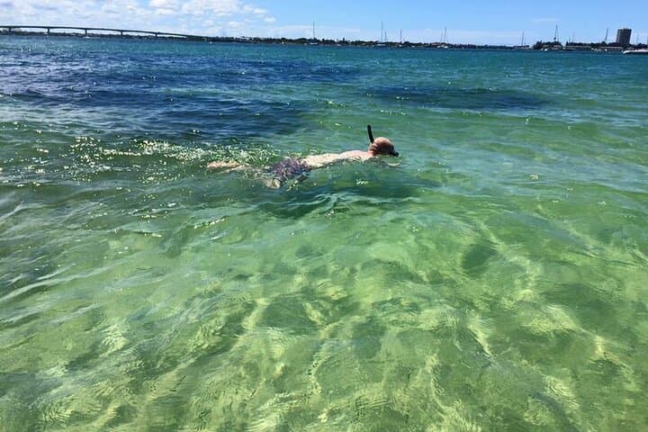 Siesta Key Private 4-Hour Charter: Sandbars, Snorkel & Dolphin Watching photo 2