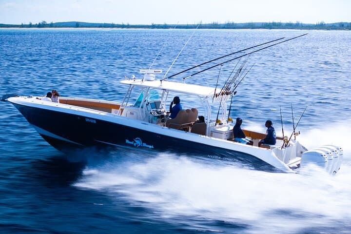 Afternoon Bottom Fishing on Reel Bouys — Providenciales Half-Day Charter photo 2