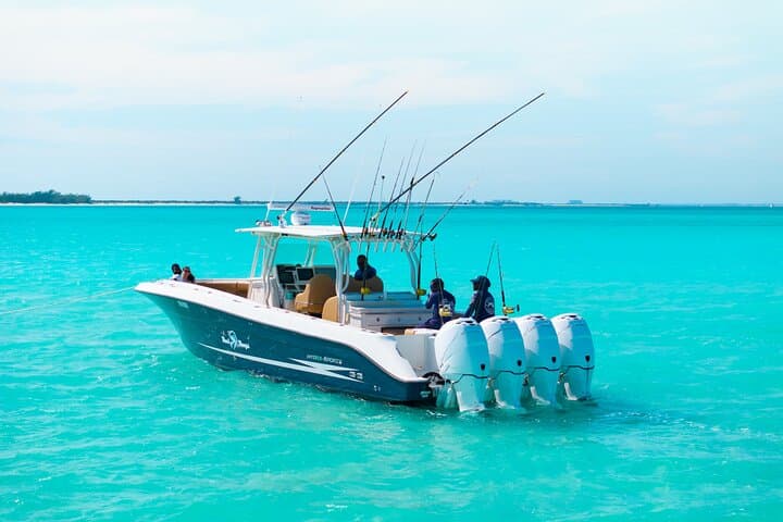 Afternoon Bottom Fishing on Reel Bouys — Providenciales Half-Day Charter