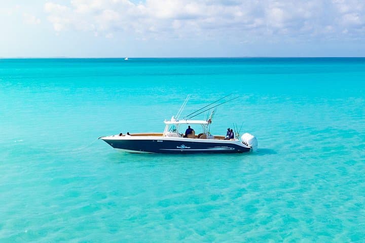 Private Half-Day Deep-Sea Fishing on Reel Buoys in Providenciales photo 3