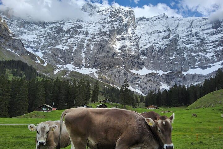 Three Hidden Swiss Gems: Saas-Fee, Aletsch Glacier & Secluded Alpine Hamlet