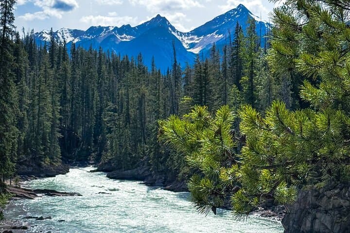 Banff & Yoho Day Tour: Lake Louise, Moraine Lake, Emerald Lake and Johnston's Canyon photo 4