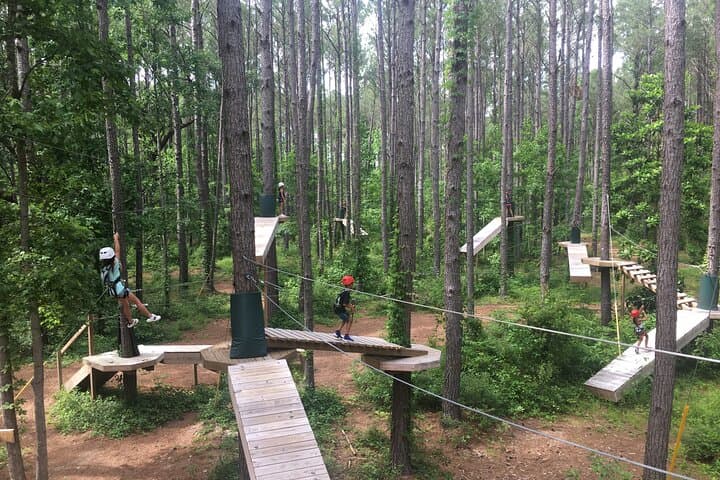 Kids Zip Koala Course & 65' Rock Wall — Charleston Family Adventure photo 5