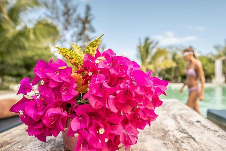 7-Day Pemba Island Adventure: Snorkel Misali, Explore Ngezi Forest & Taste Island Spices photo 4