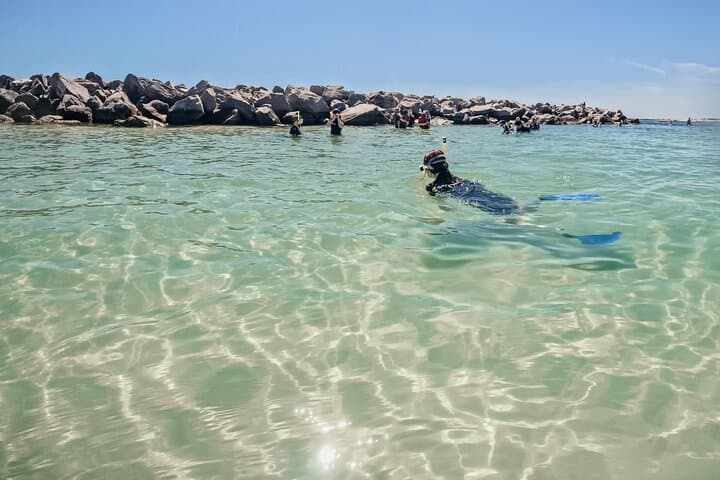 Destin Two-Stop Snorkeling and Shelling Adventure at the Jetties photo 6
