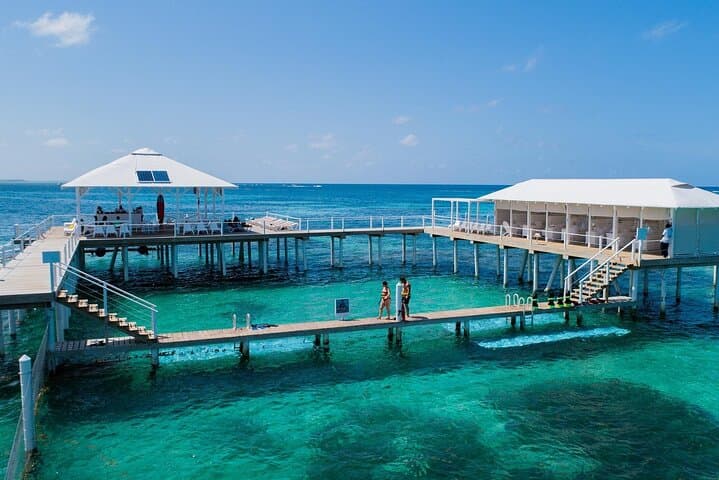 Reef Explorer: Snorkel, Kayak & Stingray Encounters from Bayahibe
